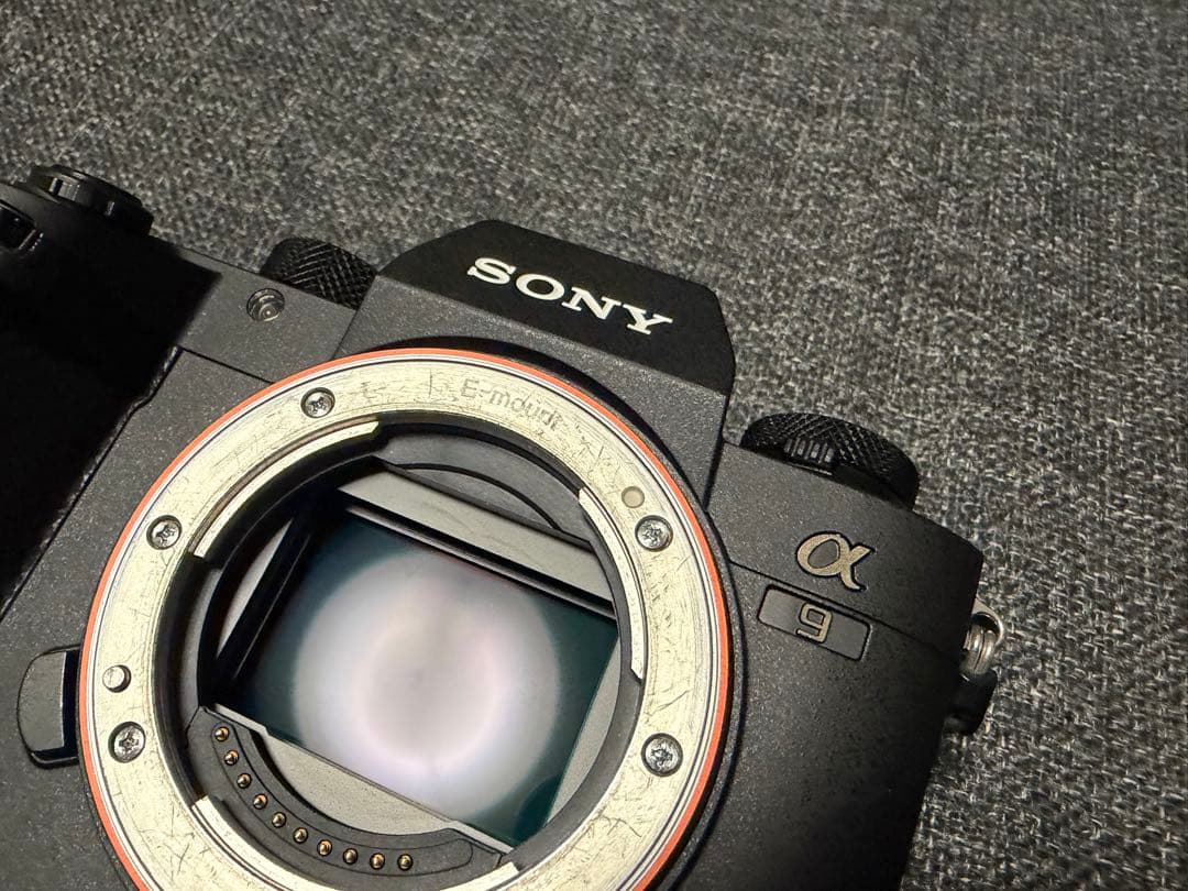 ソニー Sony α9（ILCE-9) ミラーレスカメラ SDカード付き