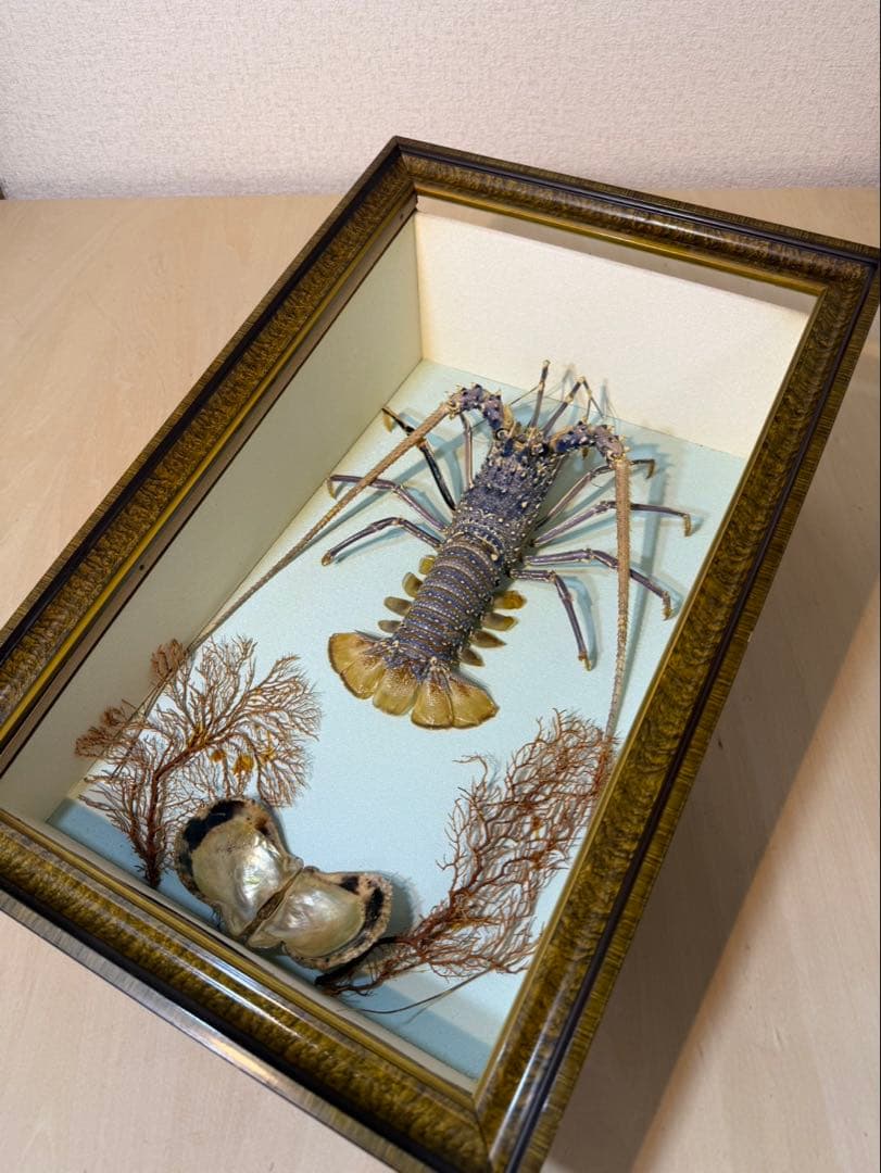 伊勢海老　置物　縁起物　海老