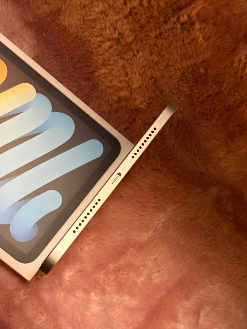 バッテリー容量100% iPad mini (第六世代) 64GB 即日発送