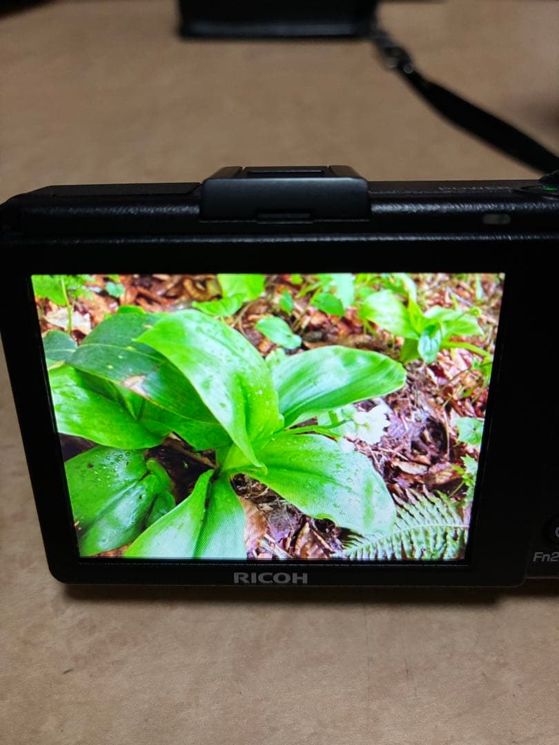 値下げ‼️【オマケ有り】リコー　RICOH GR DIGITAL III