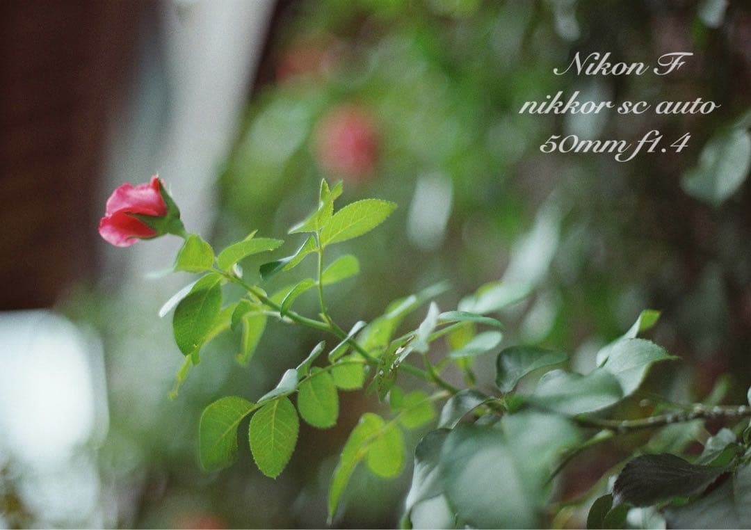 Choiさま専用★(値引きノークレーム)完動品＊美品★nikon f