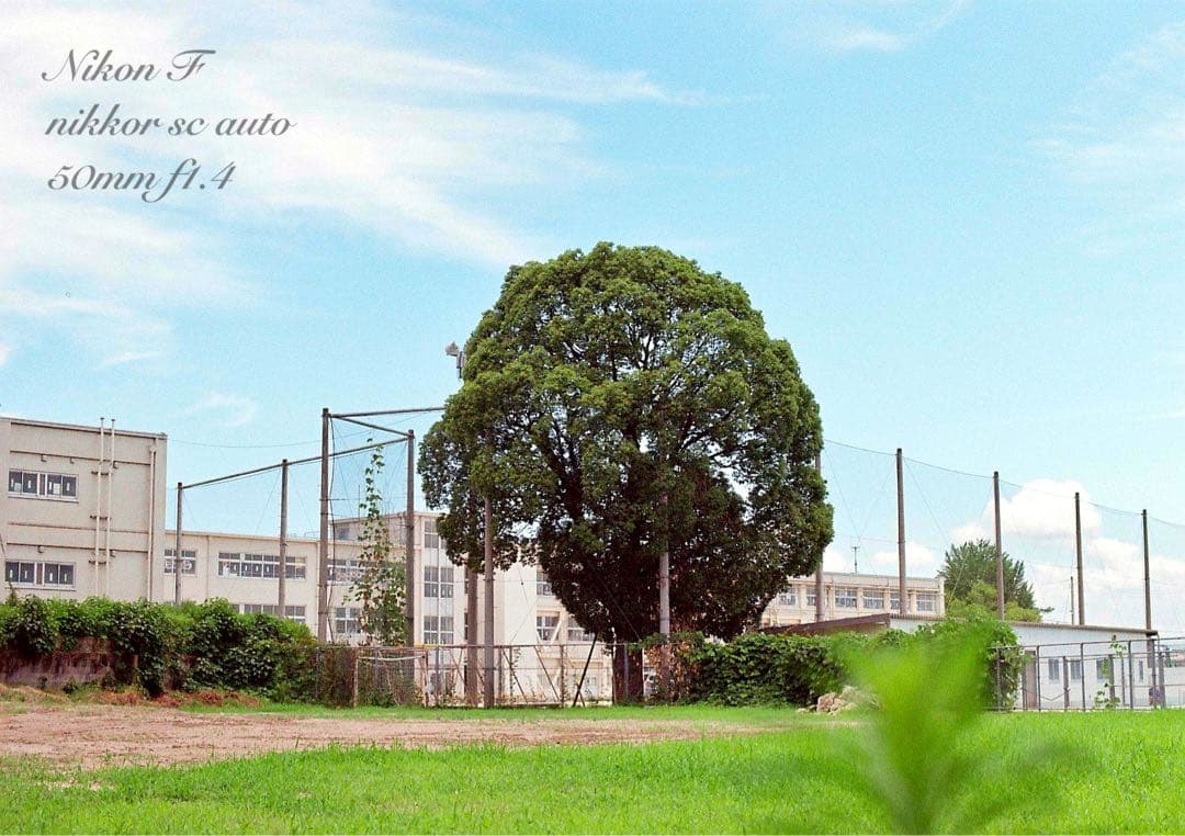 Choiさま専用★(値引きノークレーム)完動品＊美品★nikon f