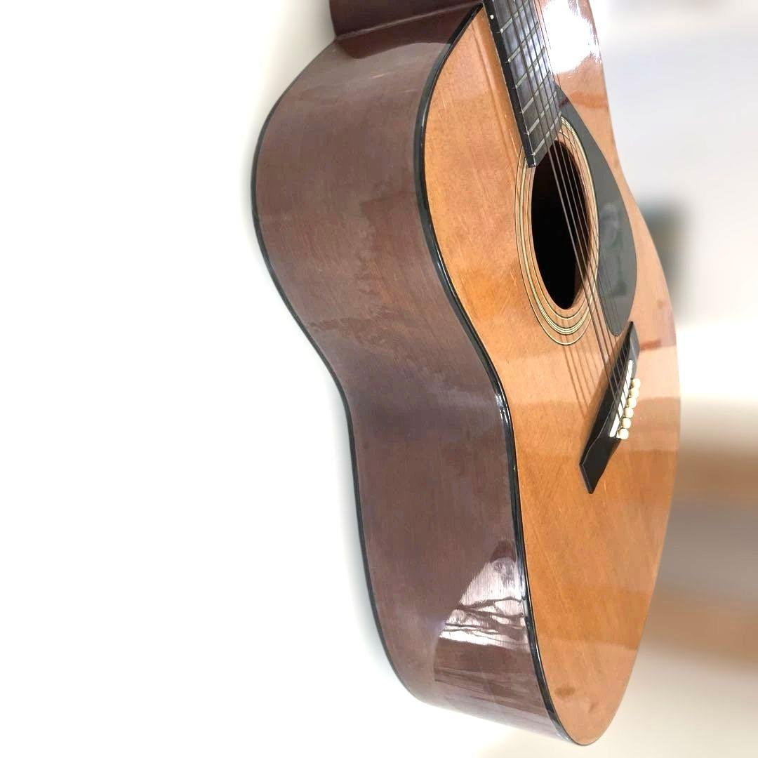 ギター anthony viernes Dedicated