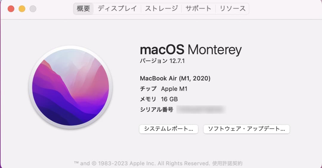 ヤマトナデシコMacBook Air 2020 M1 16GB 1TB
