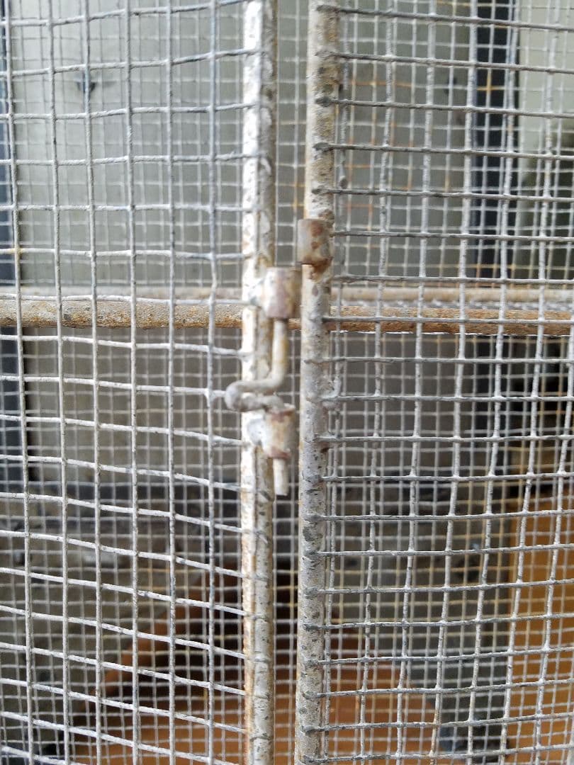 アイアンスクエアかご