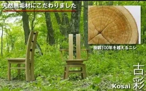 ダイニングチェア　コサイ　古彩