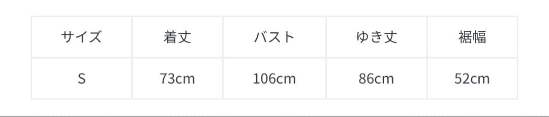 美品❤️スナイデル×ポロラルフローレン　ラグビーシャツ　希少コラボ