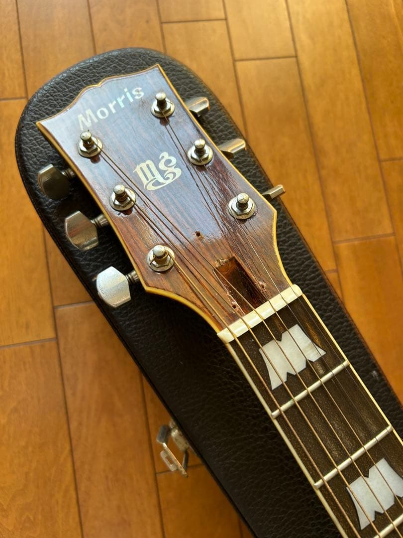 Morris MG-50 アコースティックギター