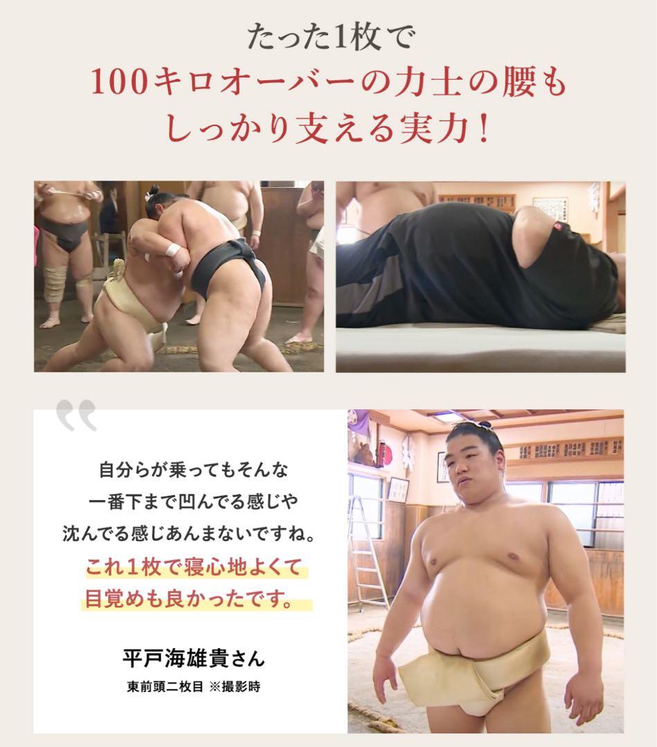 未使用 半額以下 スリープエンリッチ ノアール セミダブル マットレス