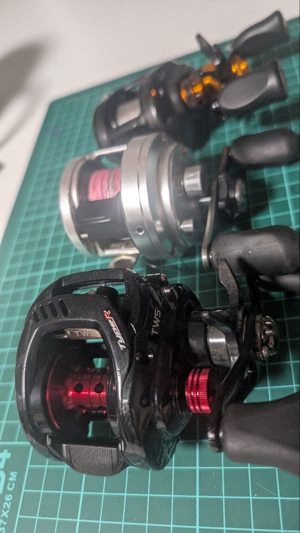 バラ売りなし タトゥーラ T3 カルカッタ