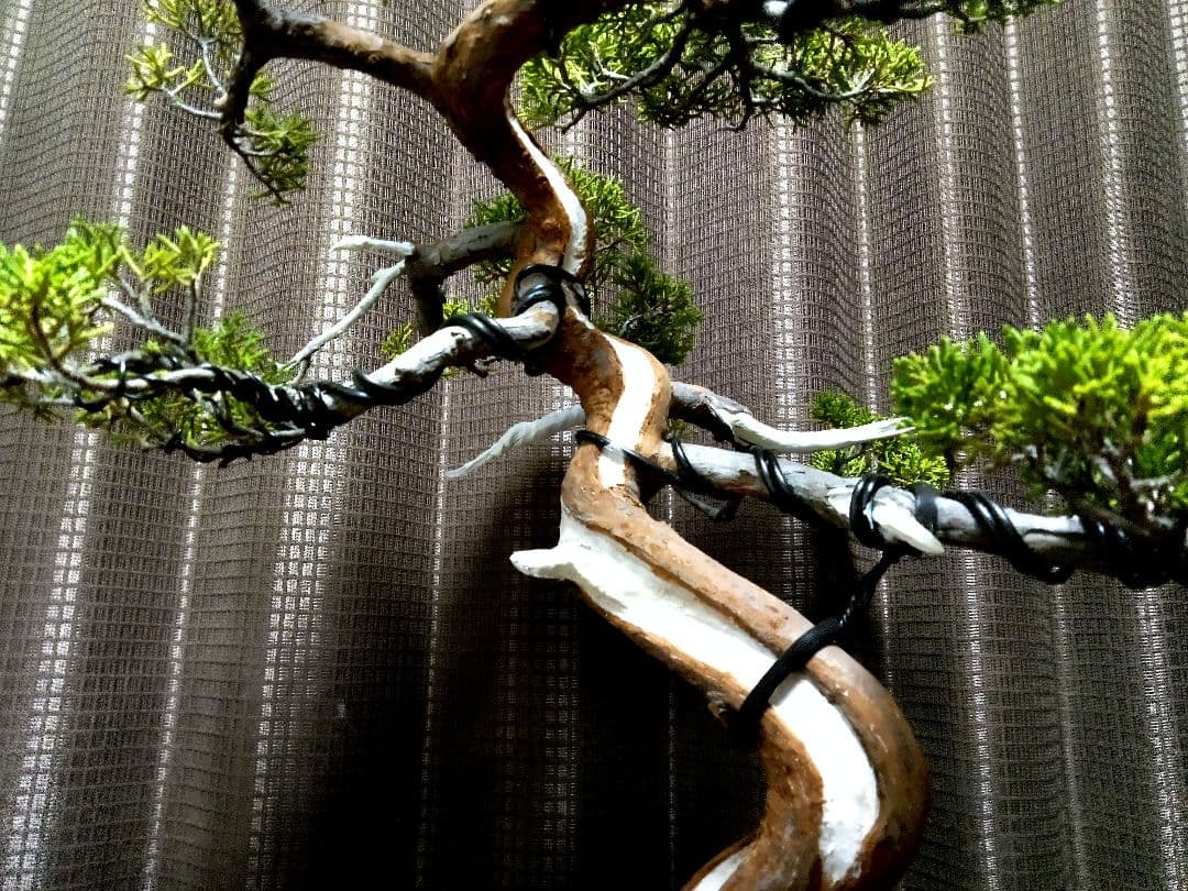 【中品　糸魚川真柏盆栽】　　　⭕幹曲抜群…新春セール❗ ★期間限定価格★