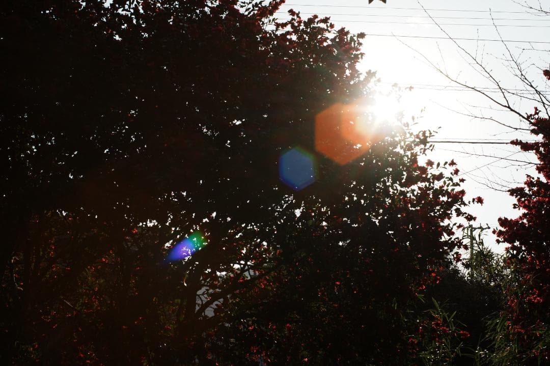 【希少・整備＆テスト済】FUJINON 50mm F1.4 M42 715