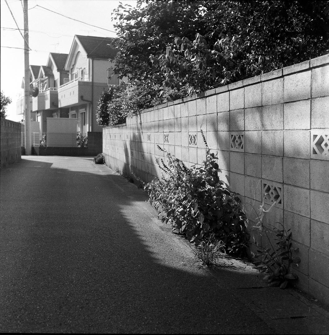 【整備済完動品】作例あり　Minolta Autocord