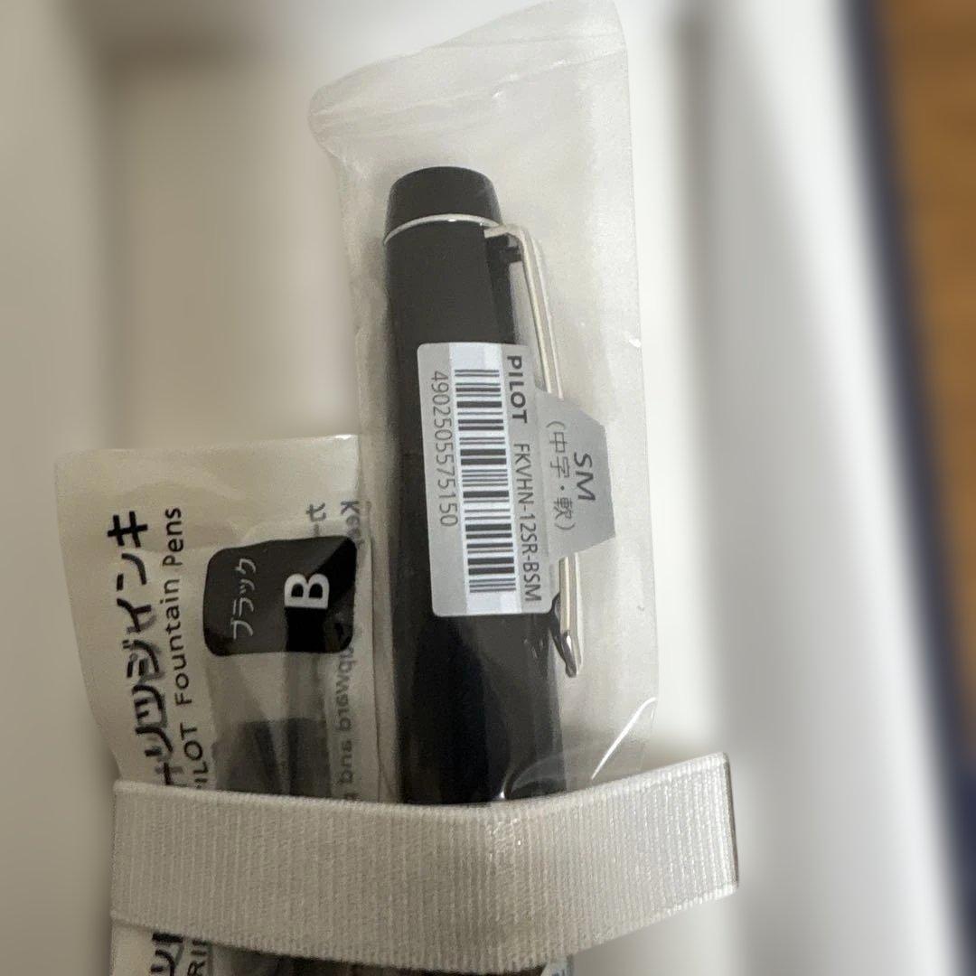 パイロット 万年筆 カスタムヘイジ91 ソフト中字 FKVHN-12SR-BSM