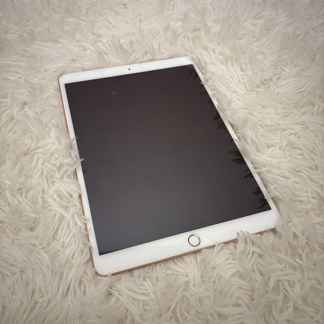 iPad air 本体 タッチペン ケース付き