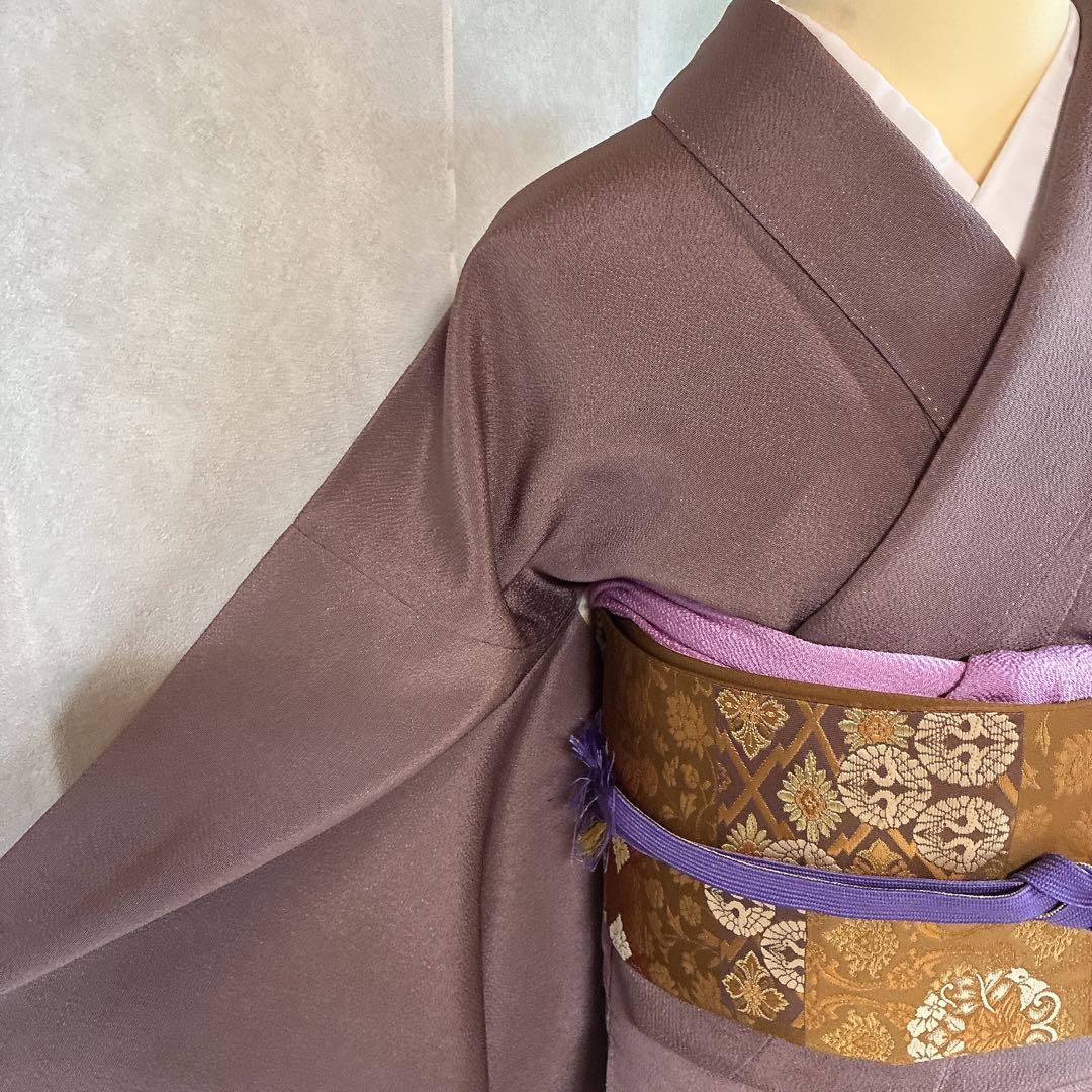 訪問着　フルセット　着物　正絹　ロング丈　しつけ付き　友禅　裄丈66 縮緬G7