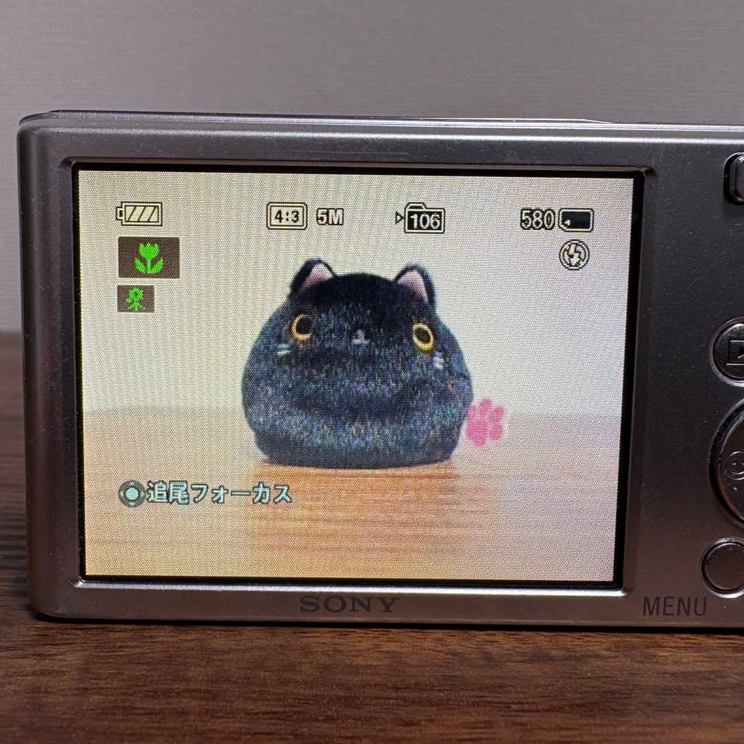 【作例有】SONY Cyber-shot DSC-W830 コンデジ 動作品