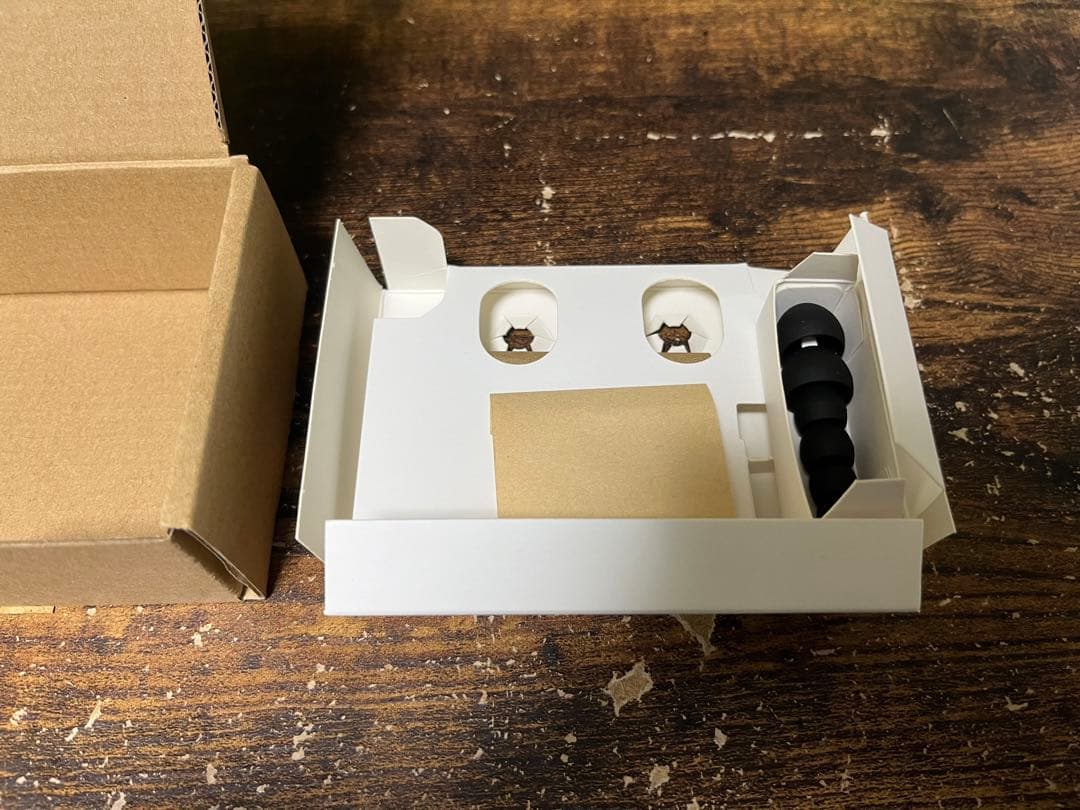 【美品】nwm VoiceBuds イヤホン