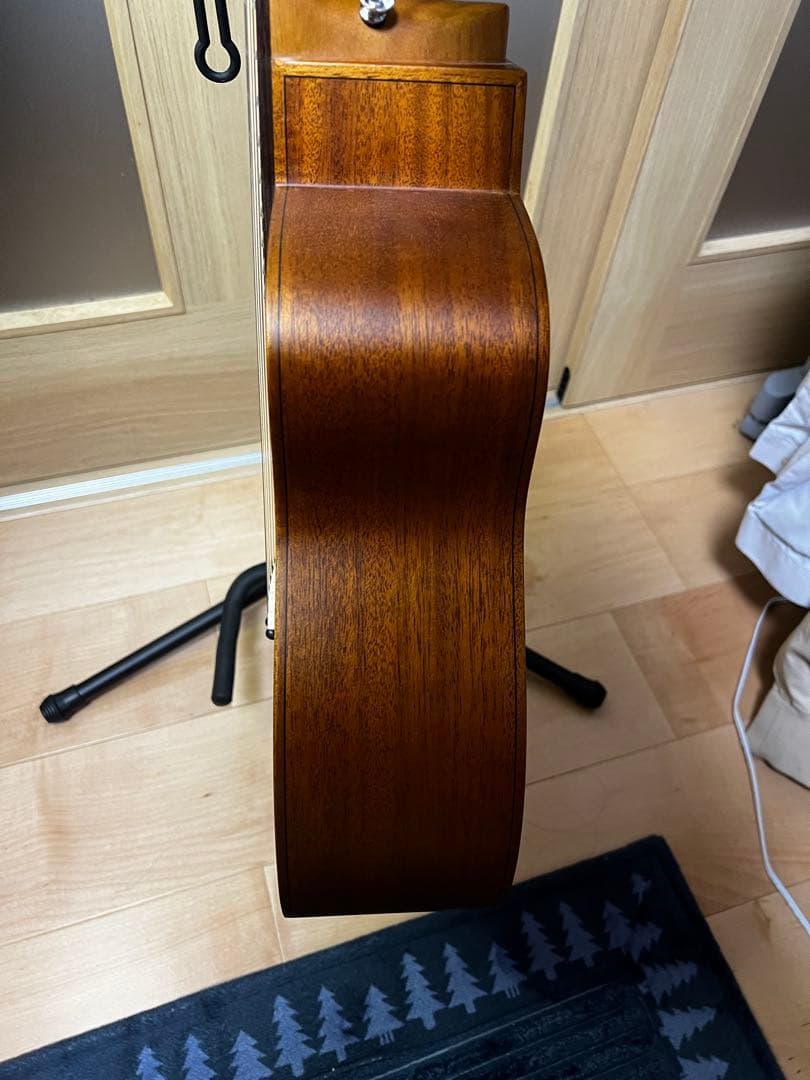 aNueNue Bird Guitar aNN-M10E エレアコ