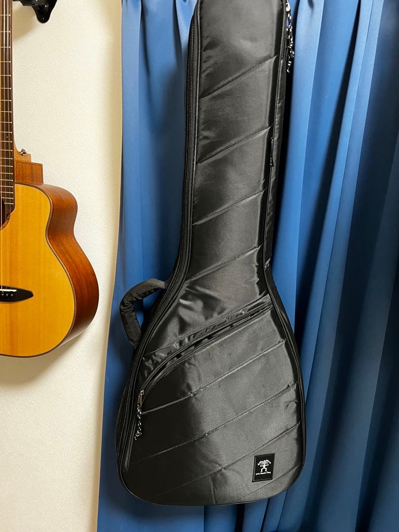 aNueNue Bird Guitar aNN-M10E エレアコ