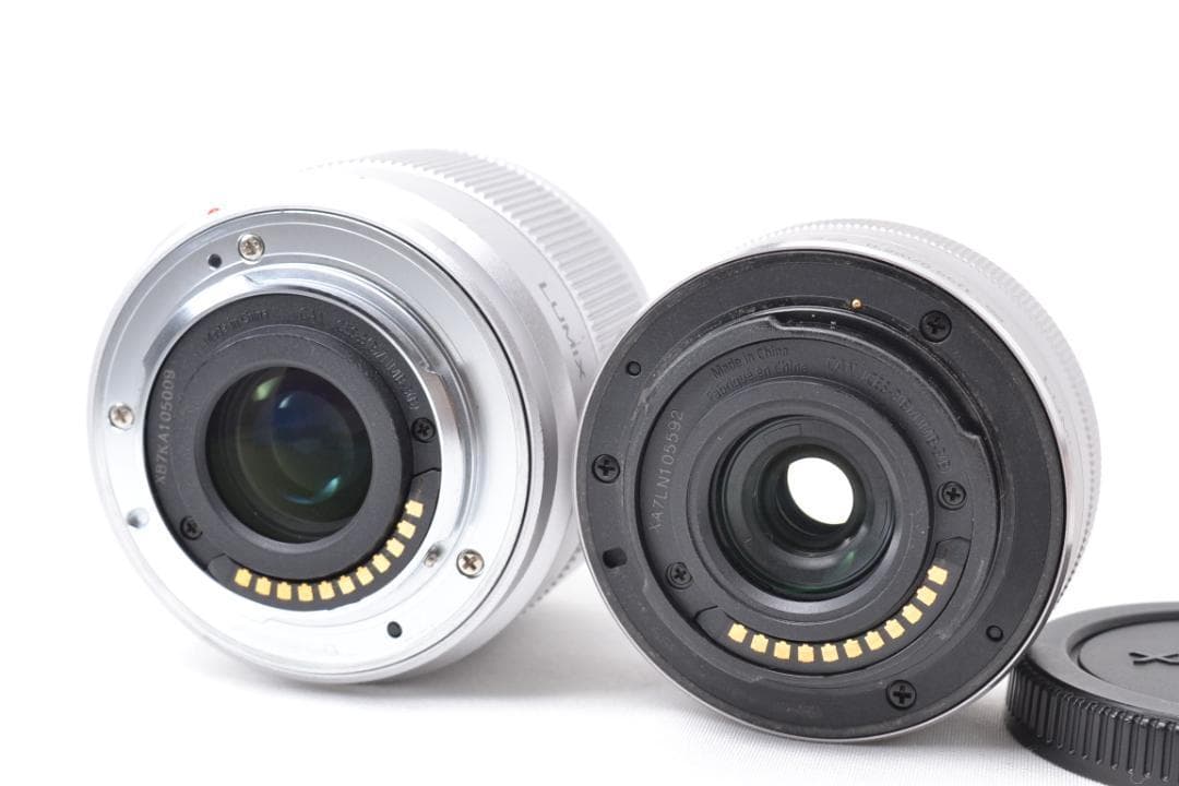 Panasonic LUMIX GF9 ミラーレス ダブルズームキット