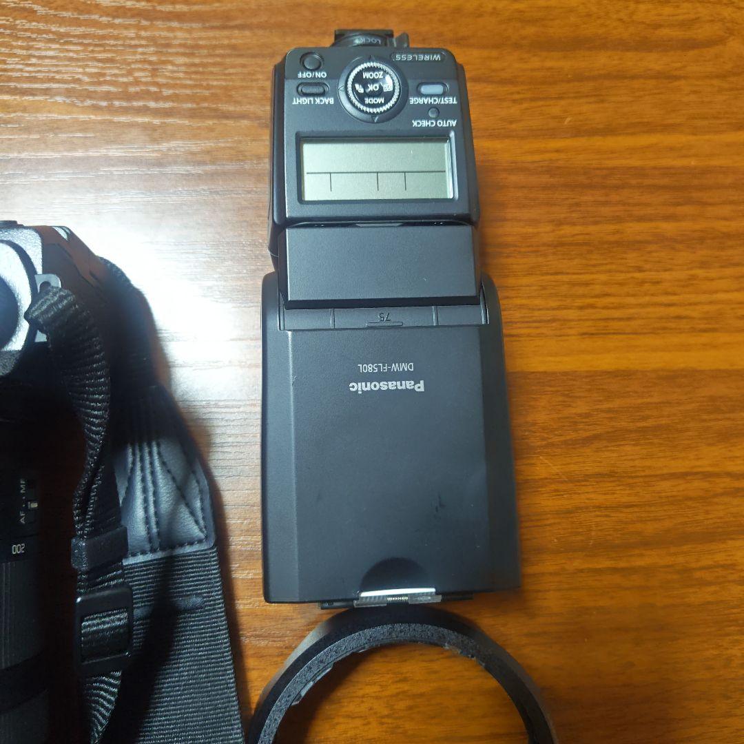 LUMIX LUMIXS5ⅱxと 28-200mmレンズ、純正ストロボ付き