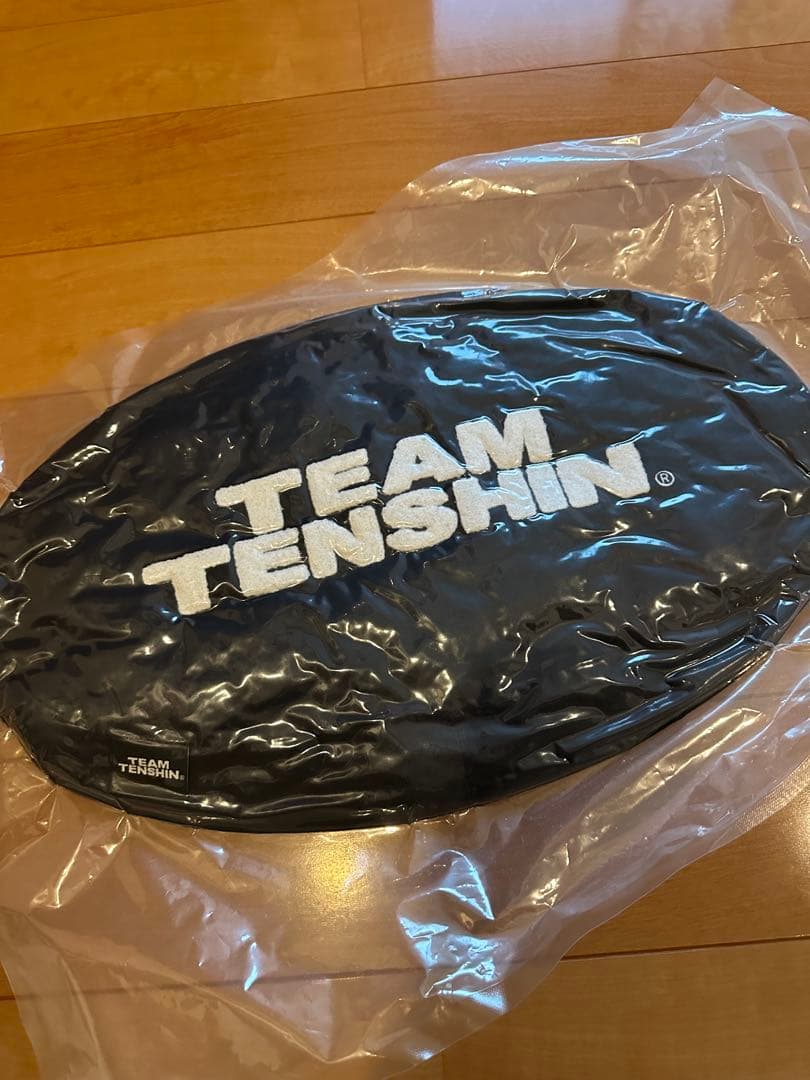 値下げ TEAM TENSHIN 公式クッション 新品未使用