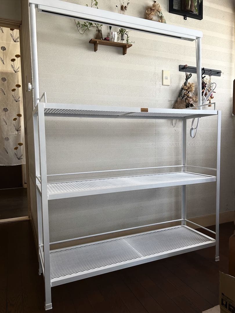 ☆送料込み☆アイアン植物棚ホワイト　即購入OK ライトレール付　アガベ　塊根