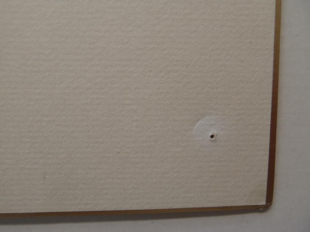 元巨人軍監督・選手　高橋由伸　サイン色紙　直筆サイン　背番号２４