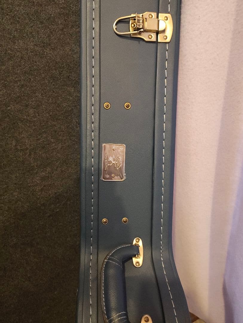 アヌエヌエ　aNueNue aNN-L200E 杉田健司　新品同様　オール単板