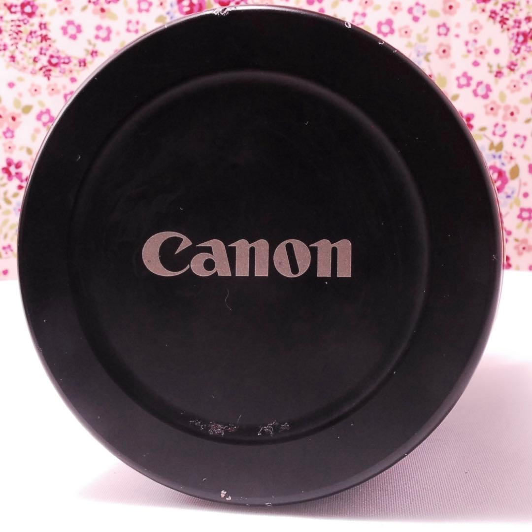 【極上品】Canon キャノン EF 14mm f/2.8 L USM 超広角