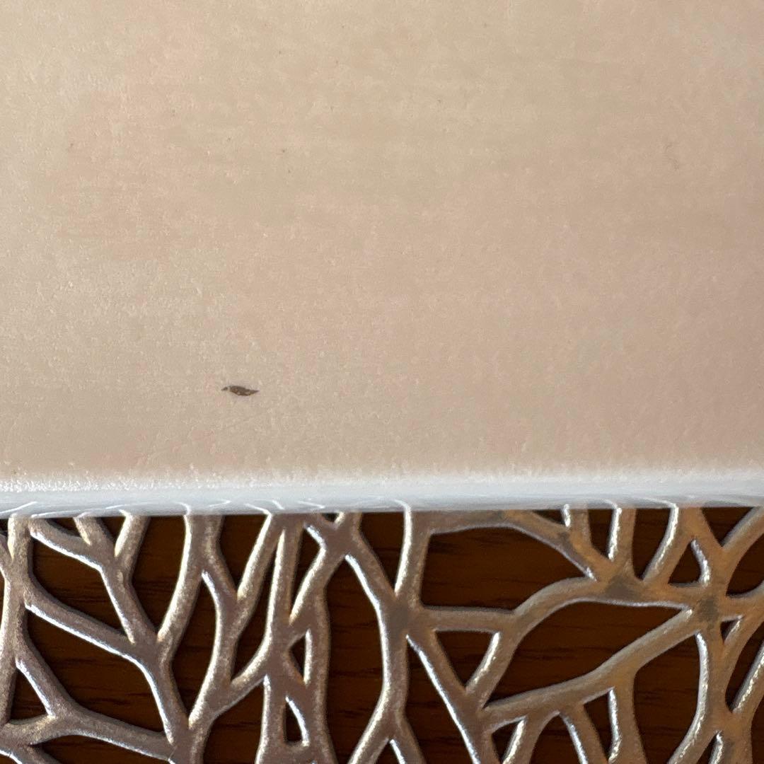 エルメス アフリカ スクエアプレート 未使用品！1枚 グリーン