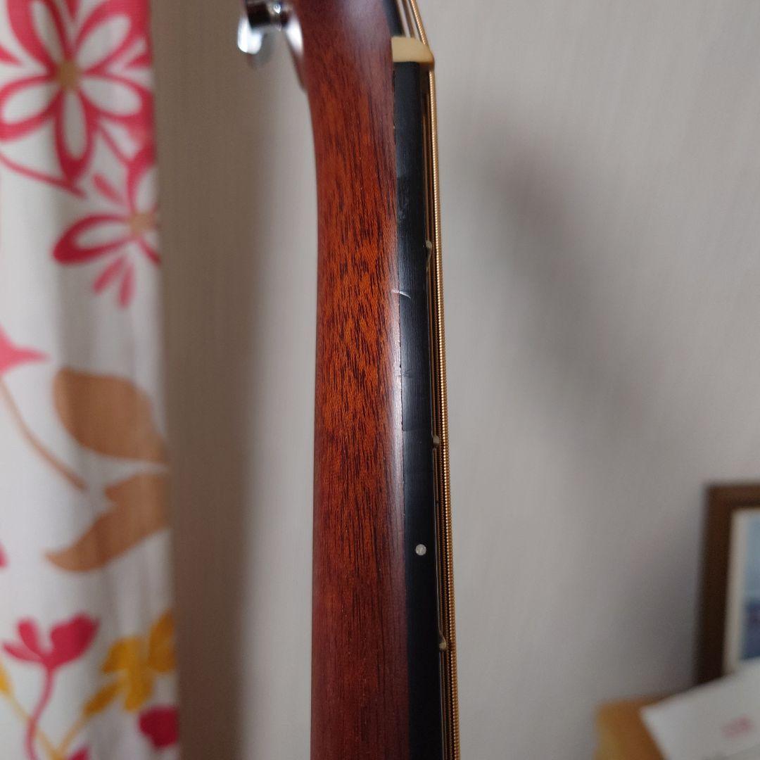 Larrivée パーラー o-01 shadow nano mag付