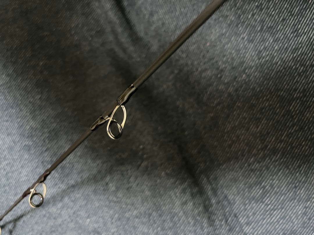 ひしも　ソルダムゴーストB606