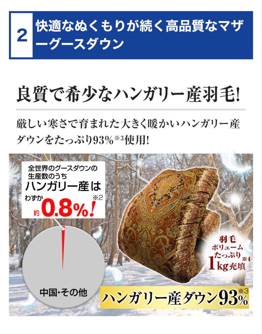 ホワイトマザーグースダウン93% 掛け布団 モリリン