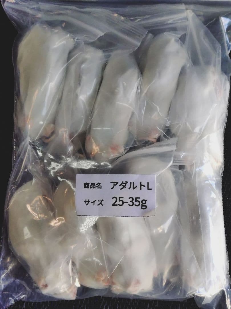 ゆこ送料無料　冷凍国産ヒヨコ50羽　冷凍マウスアダルトＬ30匹