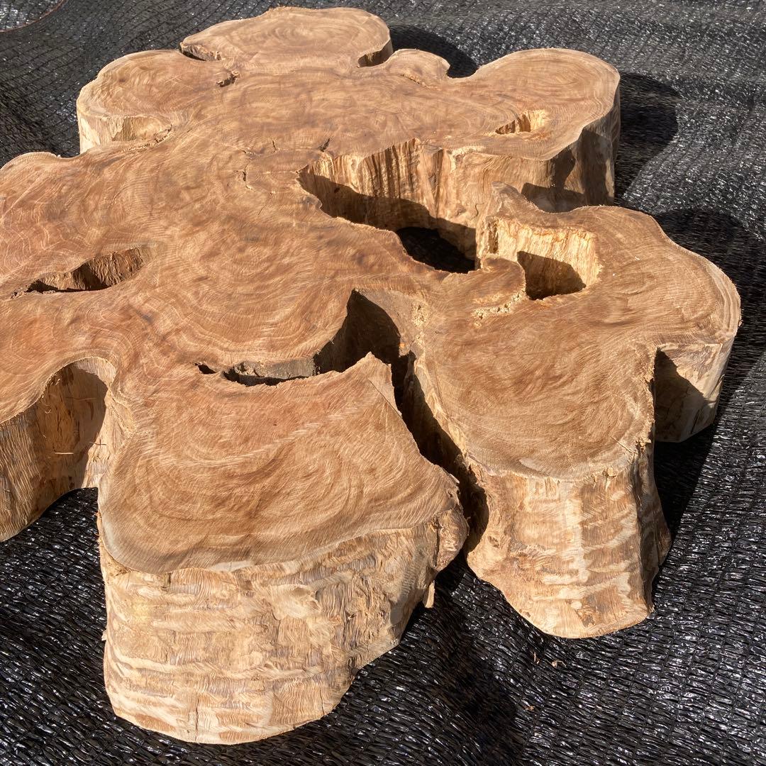 ①*ஐ一枚板！！インテリアディスプレイやテーブルにも*ஐ【輪切り・丸太・切り株】