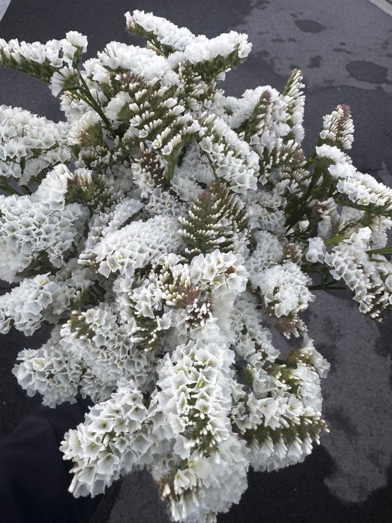 grande domani様 リクエスト 3点 まとめ商品