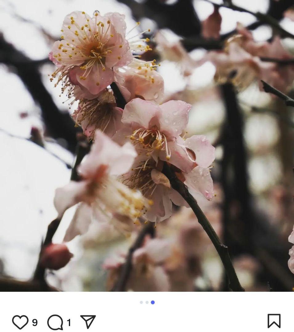 美品☆OLYMPUS PEN E-PL9 ミラーレス一眼 シルバー/ブラウン