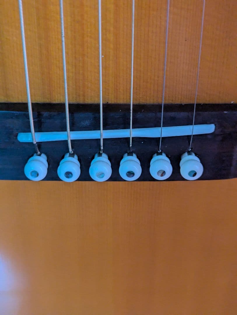 ♪Aria ADL-05 SB スロテットヘッド•パーラーサイズ♪