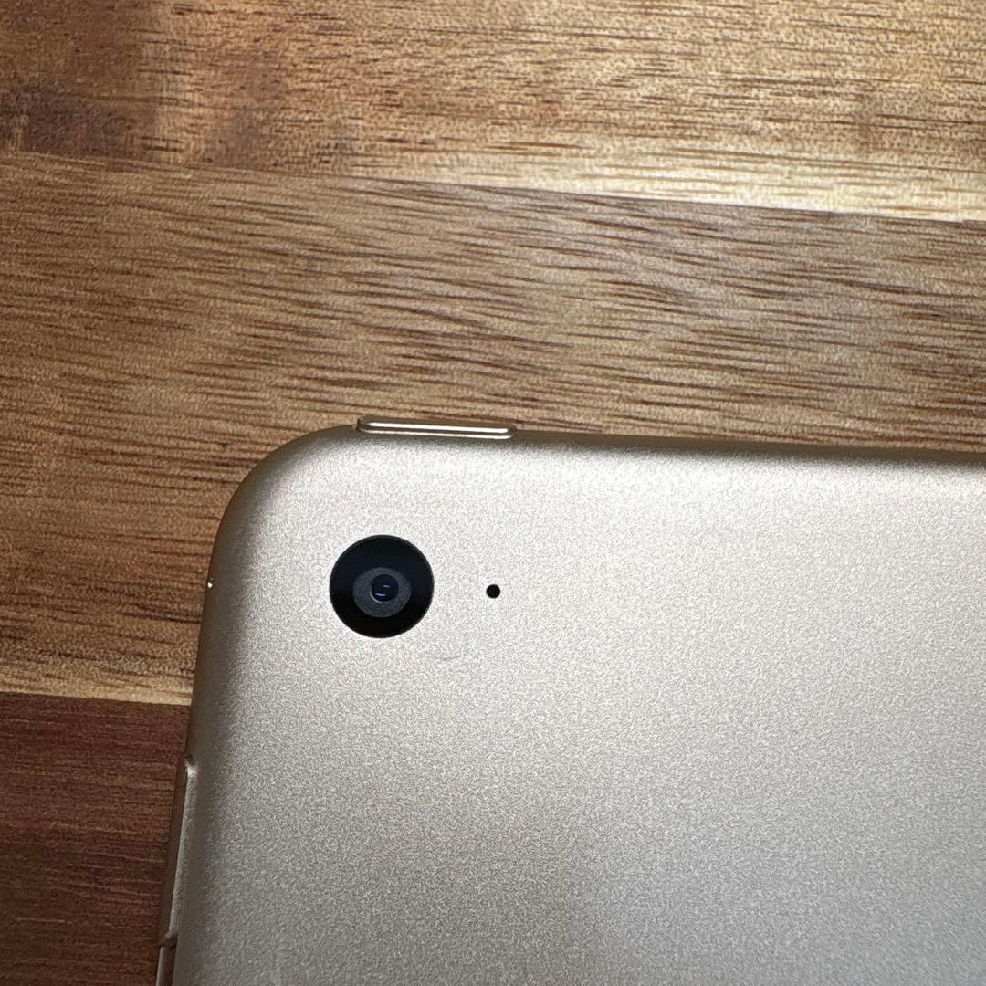 Apple iPad Air 2 Wi-Fi 16GB Gold 本体