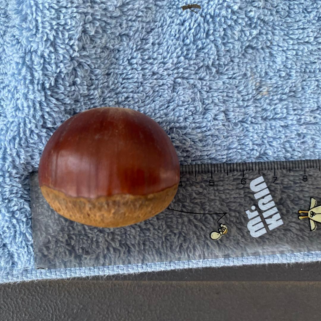 確認用　購入不可