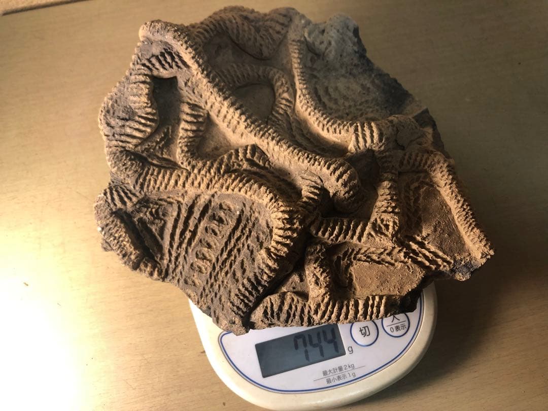 「土器の欠片 縁の部分 No.697」です。