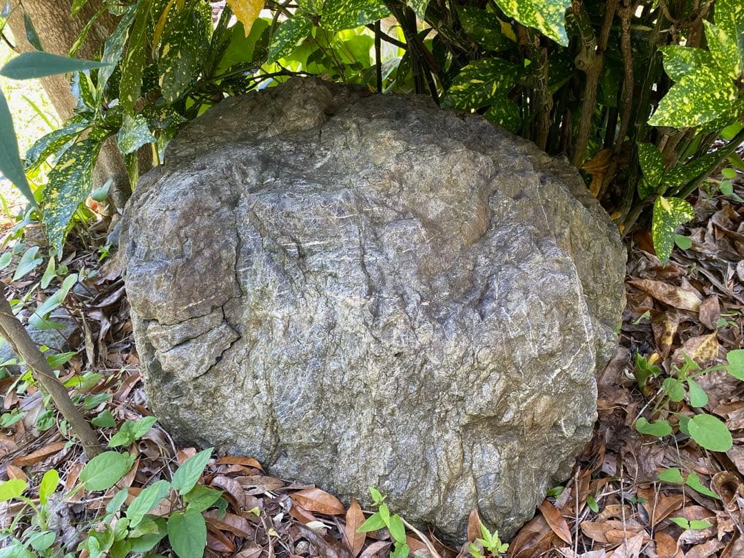 庭石 灰色 約75×80×45㎝ 自然石【石川県引き取り限定】まとめ割