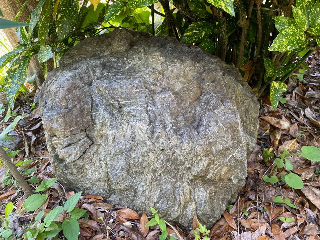 庭石 灰色 約75×80×45㎝ 自然石【石川県引き取り限定】まとめ割