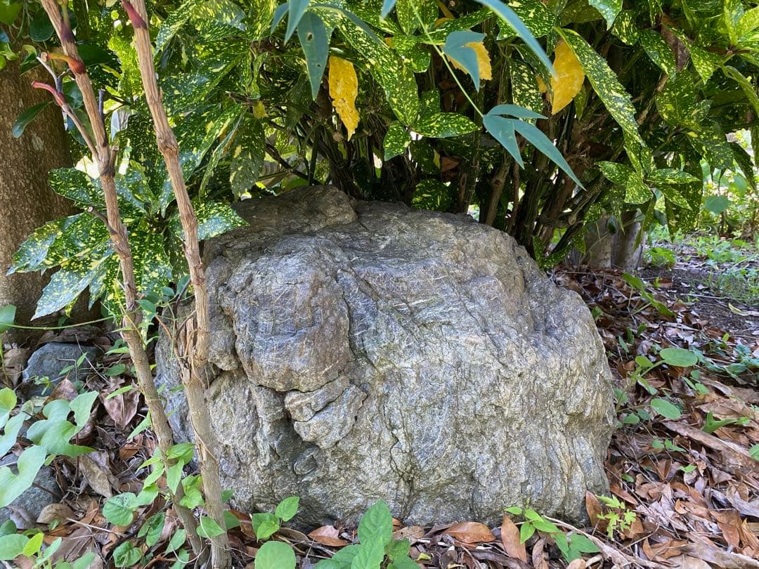 庭石 灰色 約75×80×45㎝ 自然石【石川県引き取り限定】まとめ割