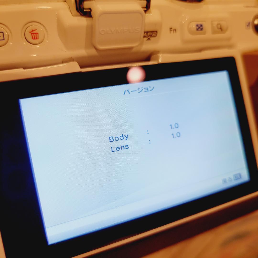 0725 美品 オリンパス M.ZUIKO 40-150mm F4.0-5.6