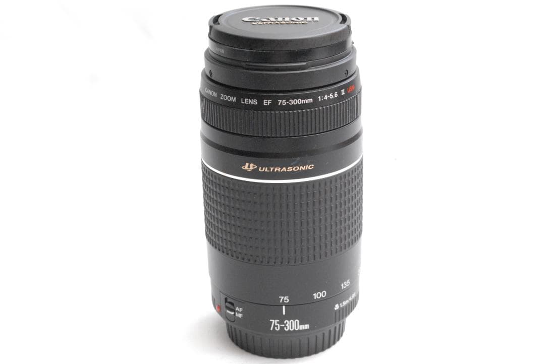 CANON ZOOM LENS EF 75-300mm 1:4-5.6 ⅢUSM
