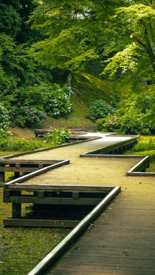 LUMIX GX7MK3 ＋ LEICA SUMMILUX 15mm（おまけ付）