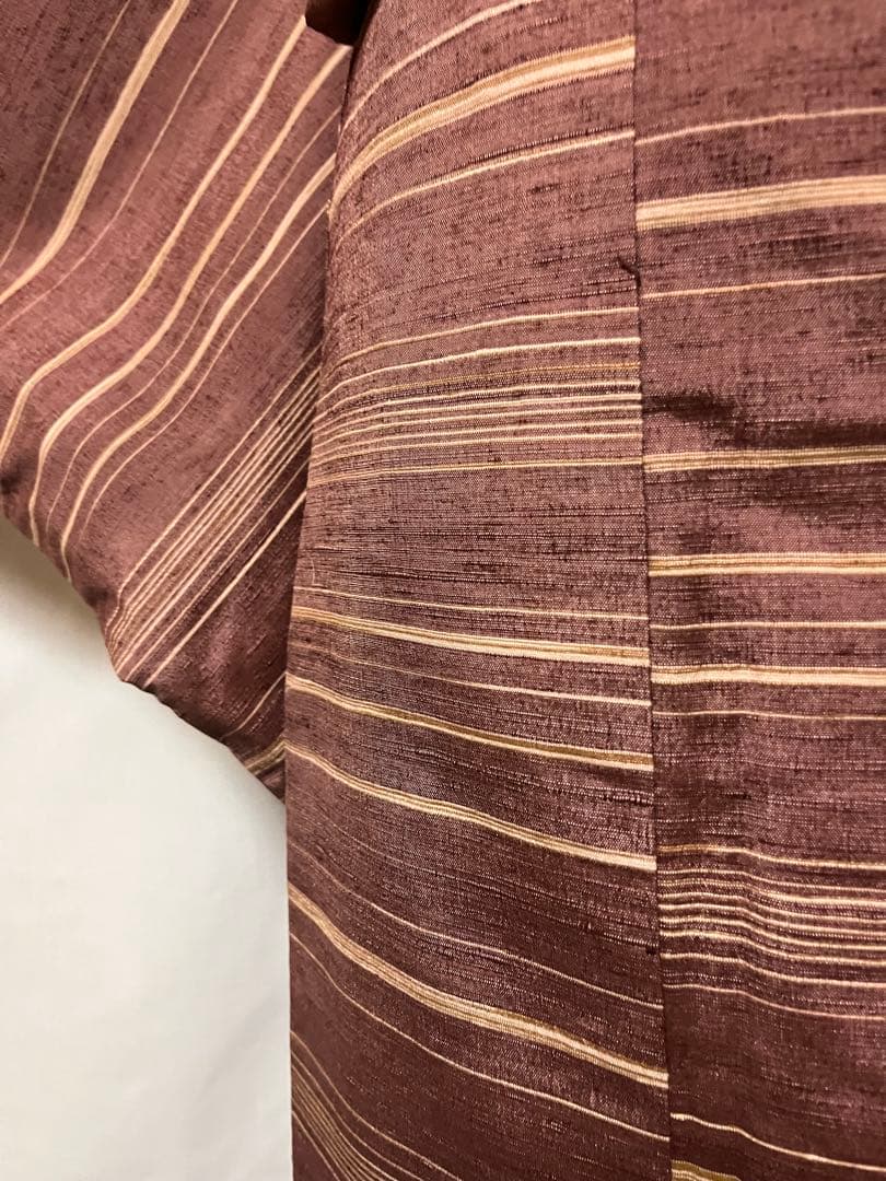 ⭐️早い者勝ち⭐️【国宝品】⭐️岐阜県重要無形文化財⭐️【郡上紬】⭐️手引真綿⭐️紬⭐️着物